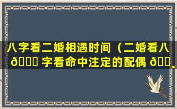 八字看二婚相遇时间（二婚看八 🕊 字看命中注定的配偶 🕸 ）